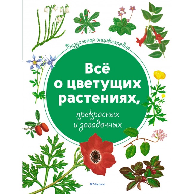 Всё о цветущих растениях, прекрасных и загадочных. Визуальная ...