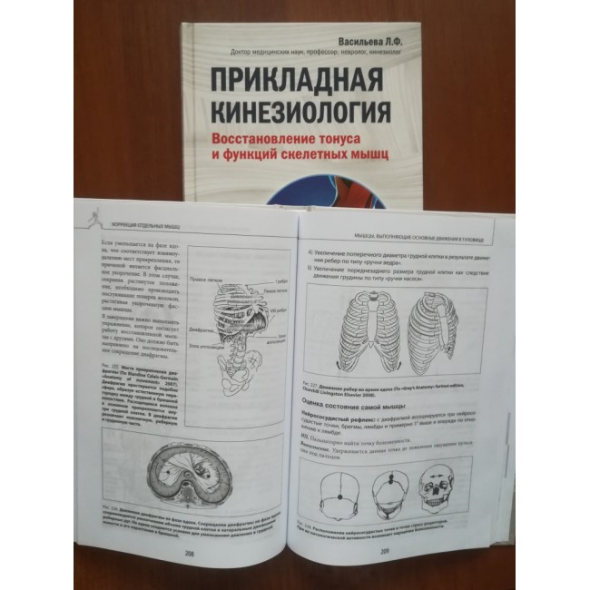 Прикладная кинезиология картинки